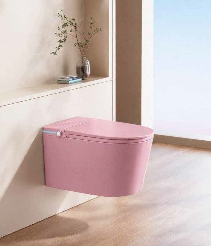 GR 1860B Femicare Duvara Monte Smart Klozet Pink