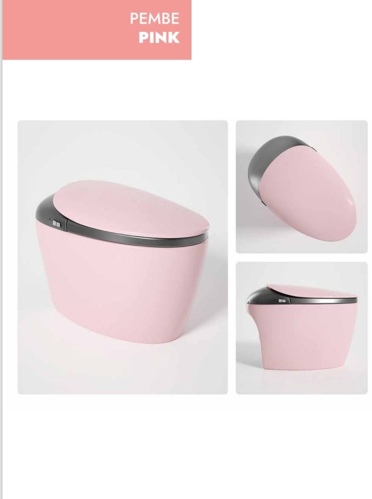 GR 1858 Duvara Monte Smart Klozet Pink